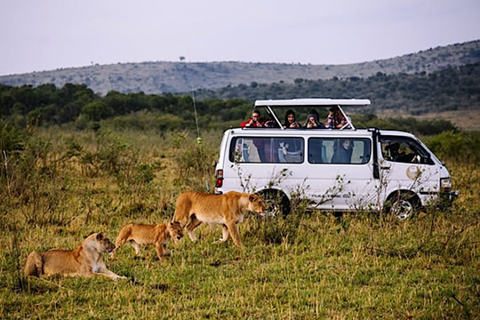 7 Days Masai Mara, Lake Nakuru, Naivasha, Amboseli, and Tsavo East Safari